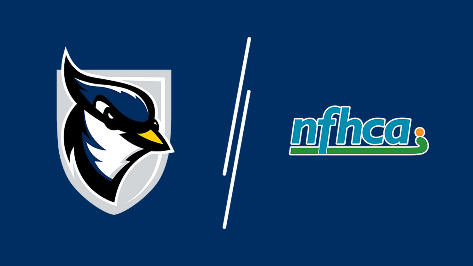 Thirteen From Field Hockey Earn NFHCA Academic Squad Honors
