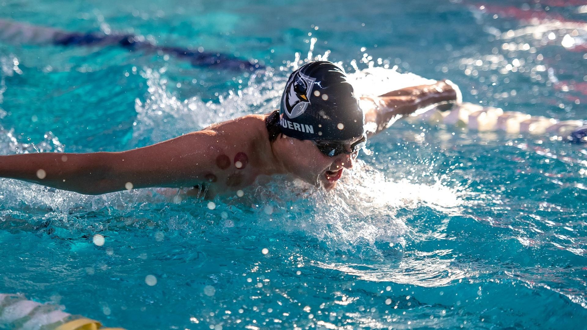 Men's Swimming & Diving Defeats UNE, Falls to Regis During Season Opener