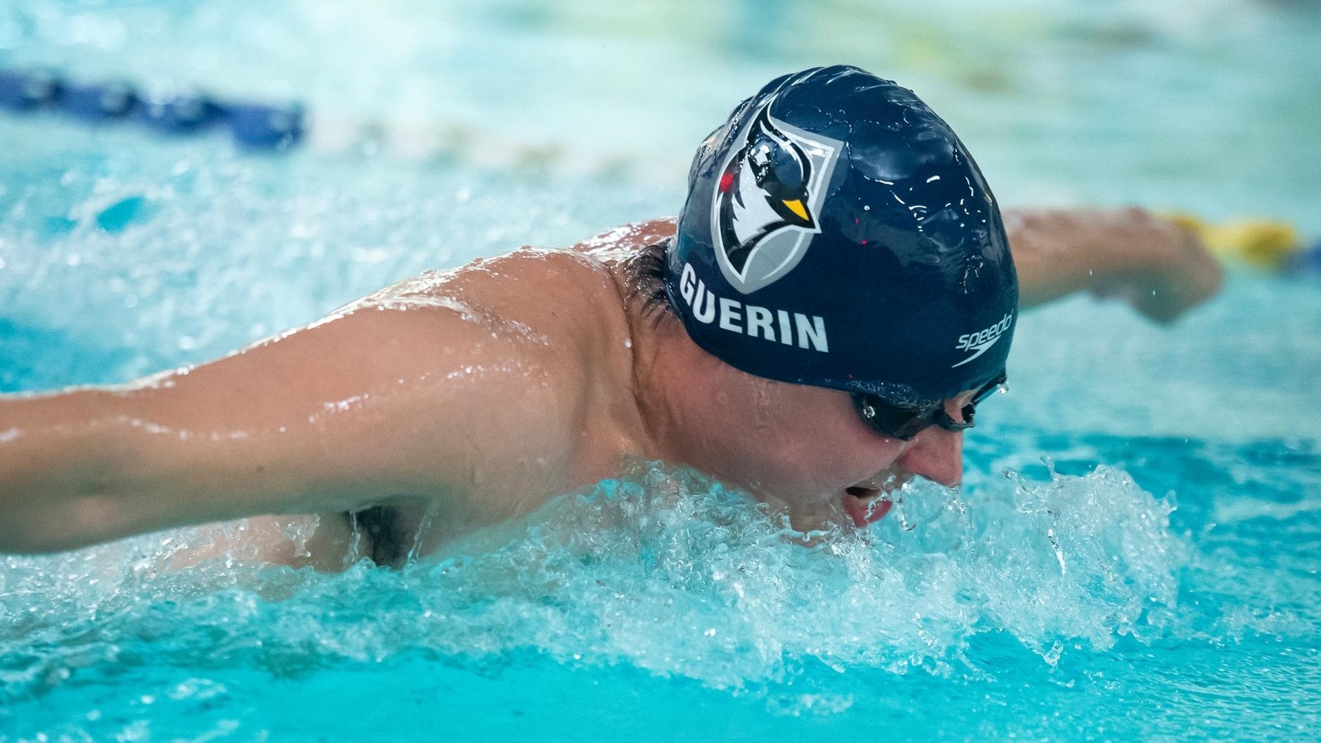 Men's Swimming & Diving Falls on the Road at Gordon Saturday